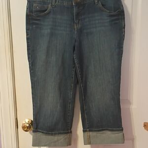 Tommy Hilfiger Women's Ankle Jeans in Classic Blue